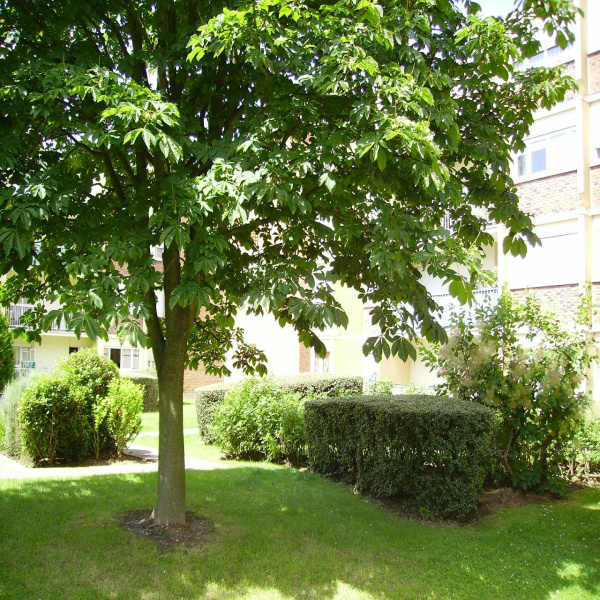 Offres de vente Appartement Ézanville 95460